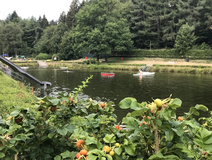 Naturfreibad Seelbacher Weiher