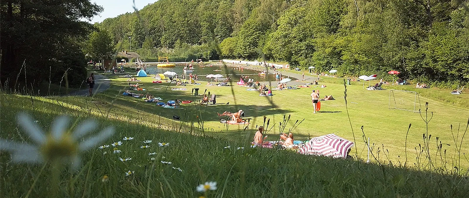 Der Eiserfelder Weiher, Naturfreibad