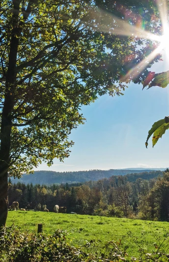 Natursteig Sieg Etappe 10