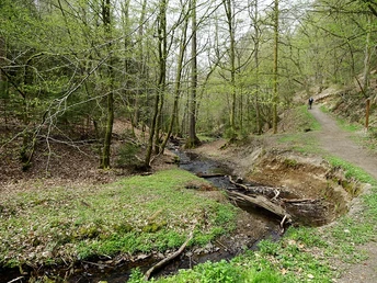 im Osenbacher Seifen