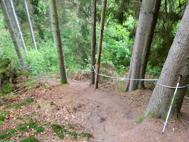 Natursteig Sieg Etappe 11