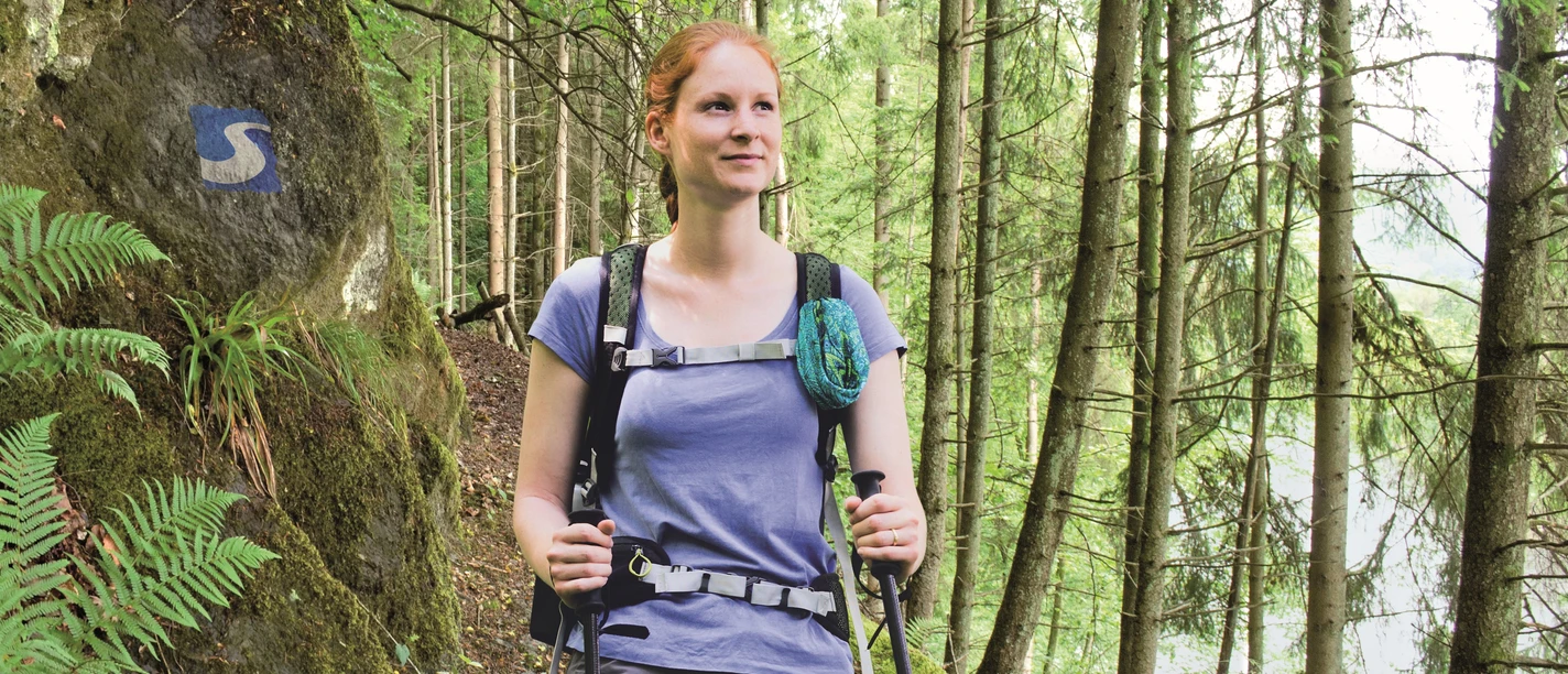 Wandern auf dem Natursteig Sieg