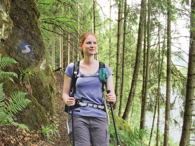 Wandern auf dem Natursteig Sieg