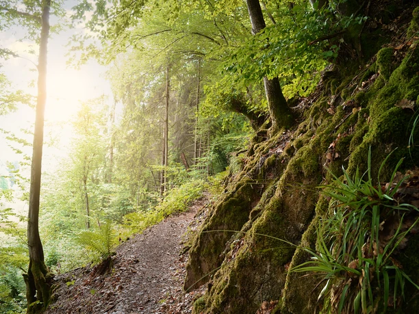 Natursteig Sieg bei Dattenfeld