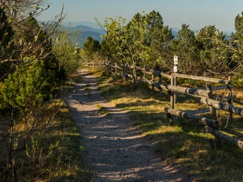 Wanderweg auf der Grinde