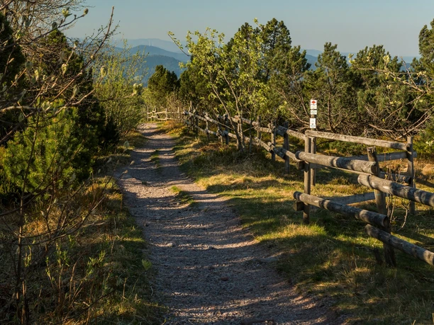 Wanderweg auf der Grinde