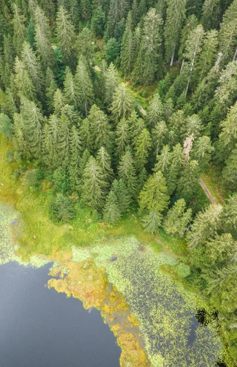 Huzenbacher See von oben