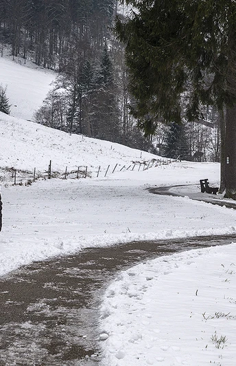 Tonbachtal im Winter