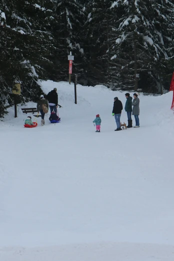 Rodelbahn am Parkplatz am Winterbergtor