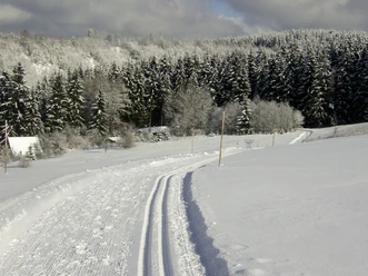 Loipe in Altenau