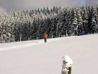 Langlauf in Altenau