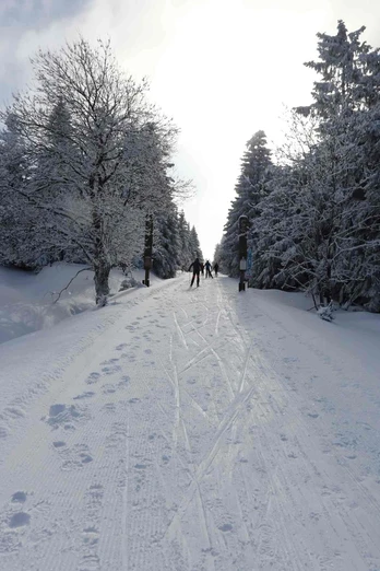 Skatingloipe im Oberharz