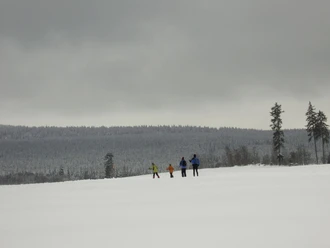 Langlauf in Altenau