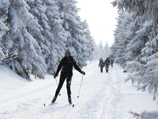 Langlauf im Oberharz