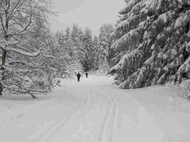 Verbindung Gasthaus-Rose - Loipen Altenau