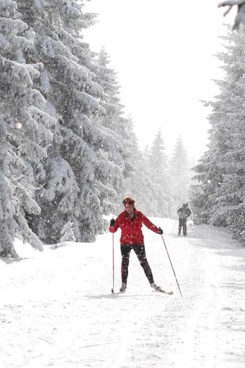 In der Oberharzer Loipe