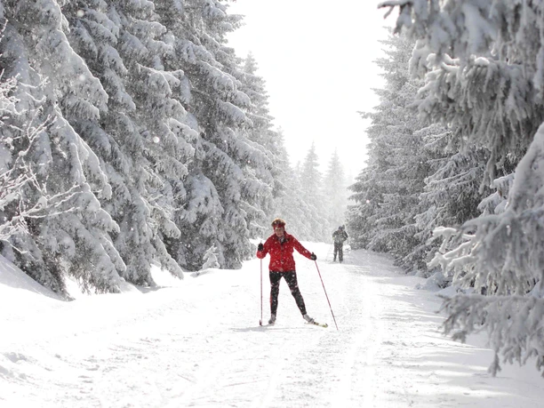 In der Oberharzer Loipe