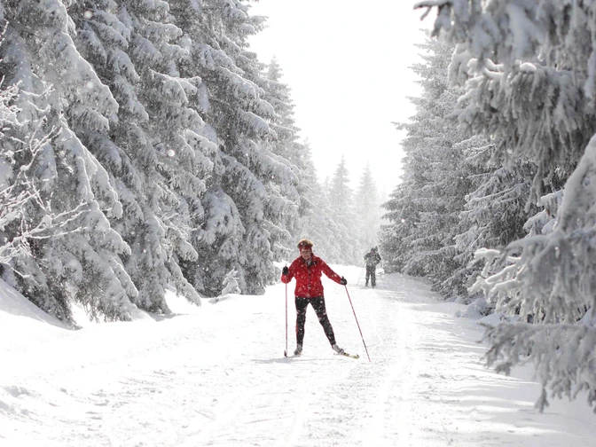 In der Oberharzer Loipe