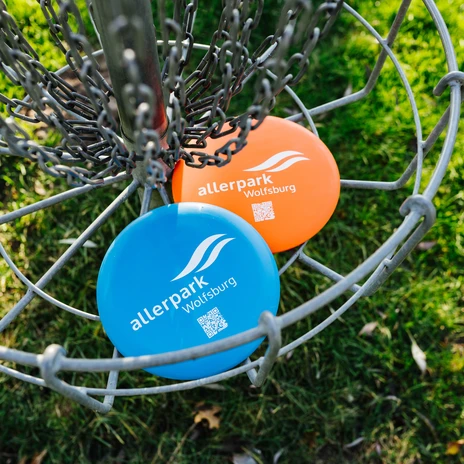 Discgolfscheiben.jpg Zwei Discgolfscheiben im Metall-Fangkorb