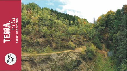 Am Rande des Silbersees-Rund um den Hüggel
