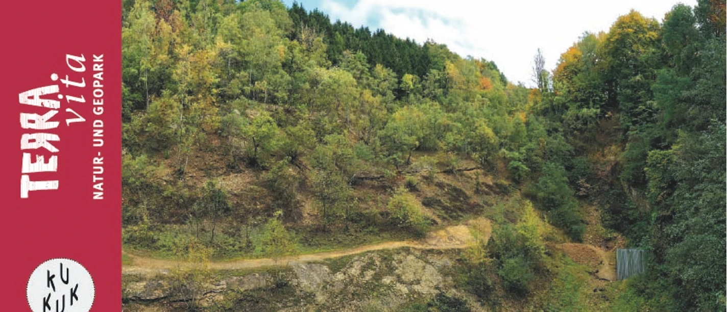 Am Rande des Silbersees-Rund um den Hüggel