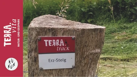 Auf dem Weg zum Silberberg-Nicht Alles was glänzt ist Silber