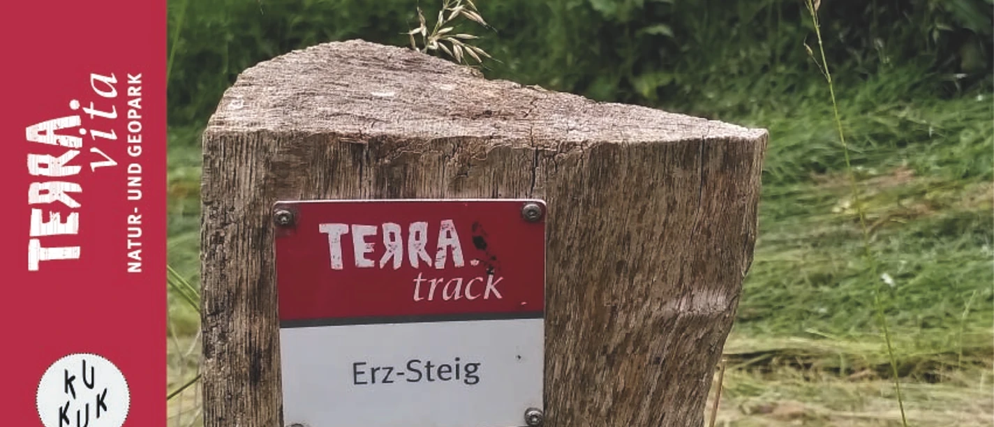 Auf dem Weg zum Silberberg-Nicht Alles was glänzt ist Silber