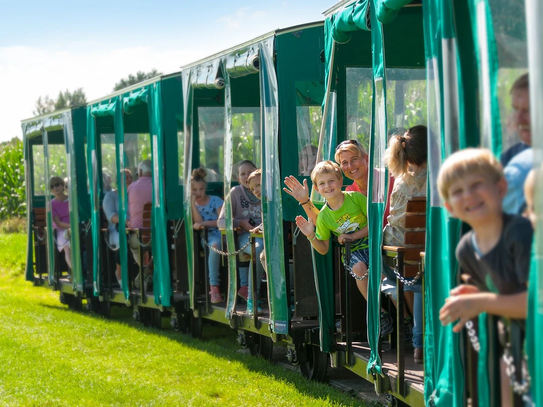 Moorbahn Ahlenmoor Familien und Kinder fahren fröhlich mit der grünen Moorbahn durch das sonnige Ahlenmoor.