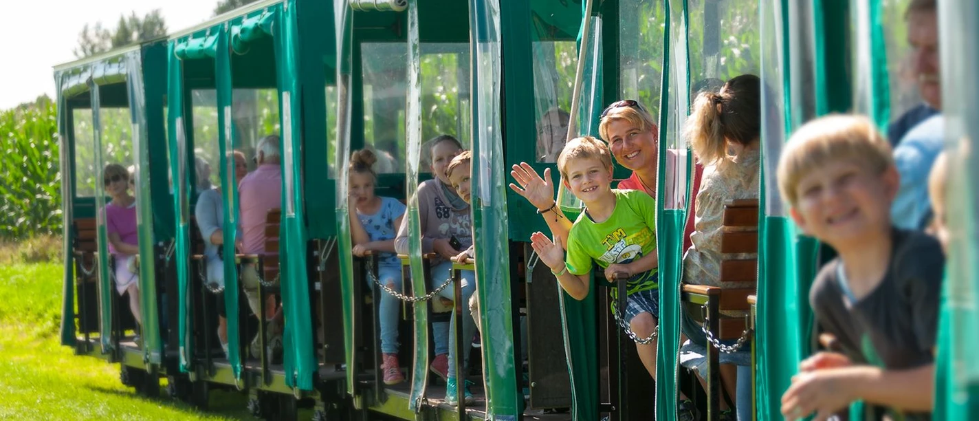 Moorbahn Ahlenmoor Familien und Kinder fahren fröhlich mit der grünen Moorbahn durch das sonnige Ahlenmoor.