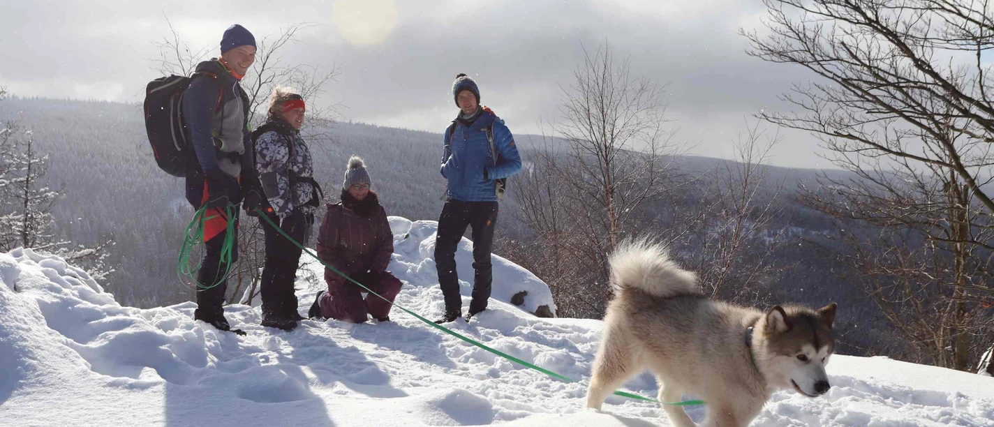 Mit dem Hund im Oberharz