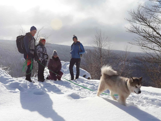 Mit dem Hund im Oberharz