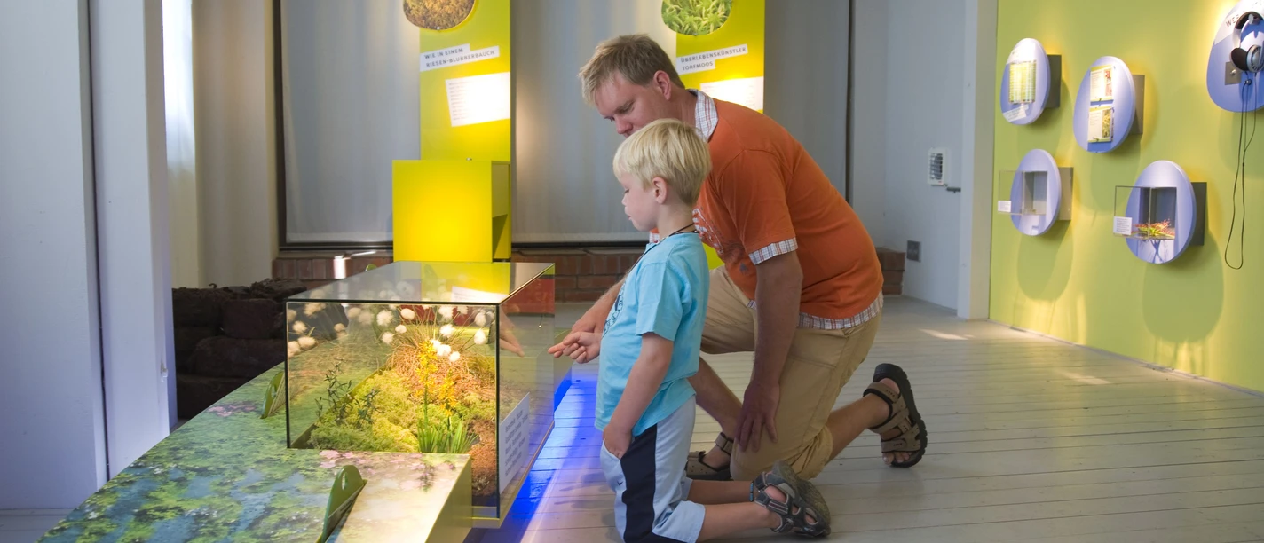 MoorIZ Ahlenmoor - Ausstellung Ein Mann und ein Kind betrachten ein beleuchtetes Moor-Modell in einer naturkundlichen Ausstellung.