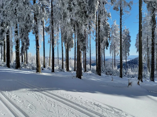 Loipenspur auf der Pastorenwiese
