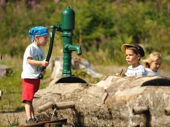 Spielplatz Wisentwildnis