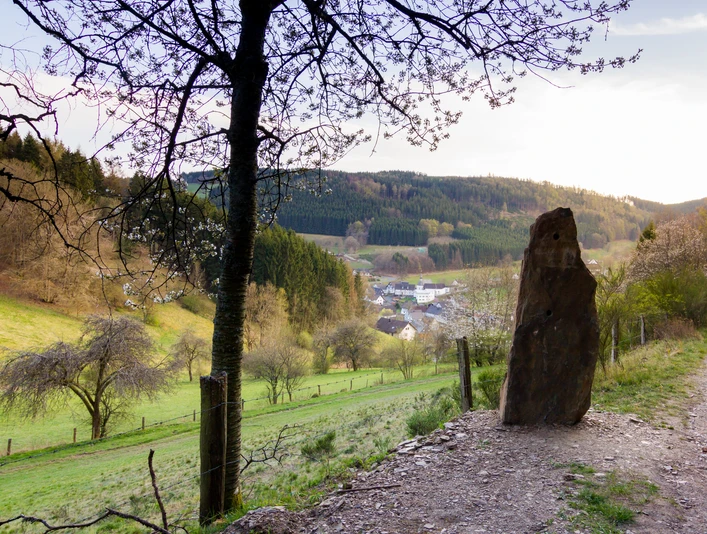 Augenstein Rotmilan-Höhenweg Diedenshausen