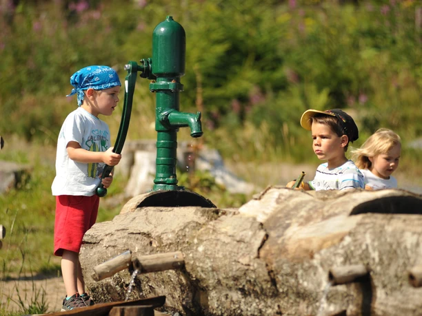 Spielplatz Wisentwildnis