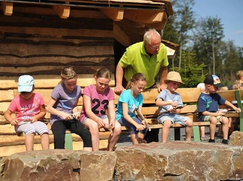Waldpädagogik Wisent Wildnis Schnitzen