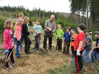 Wisent Wildnis Waldpädagogik 2