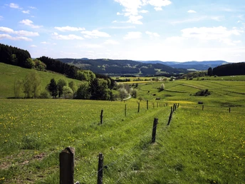 Wittgensteiner Panoramaweg