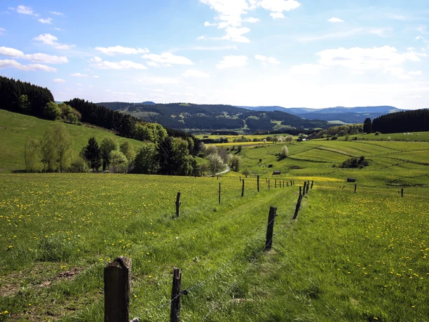 Wittgensteiner Panoramaweg