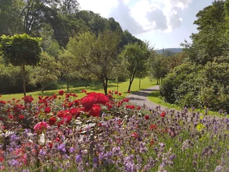 Schlosspark