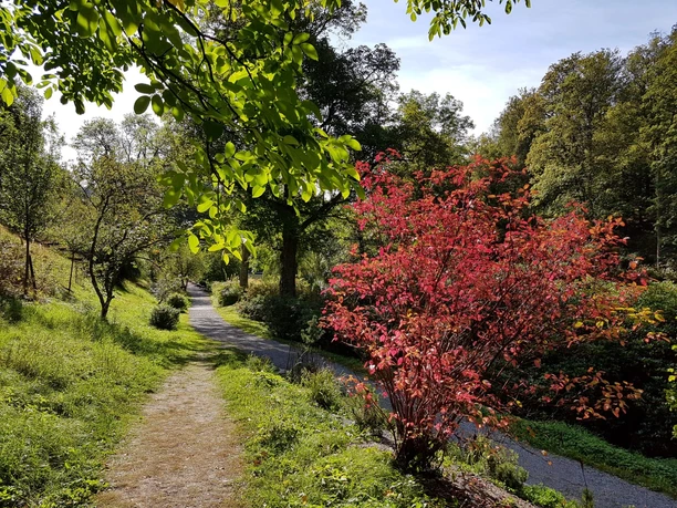 Schlosspark