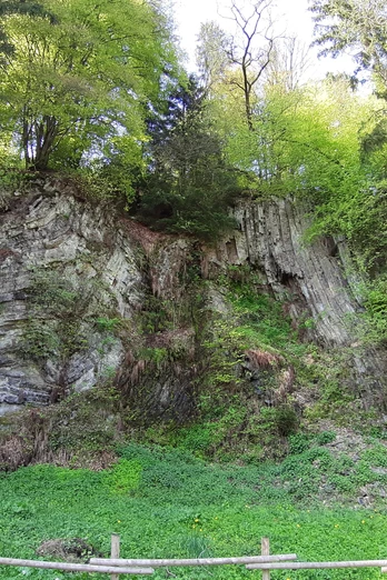 Kieselschiefer-Steinbruch Beddelhausen