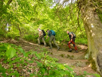 Wittgensteiner Schieferpfad