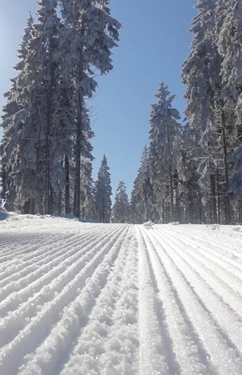 Die Loipen sind gespurt