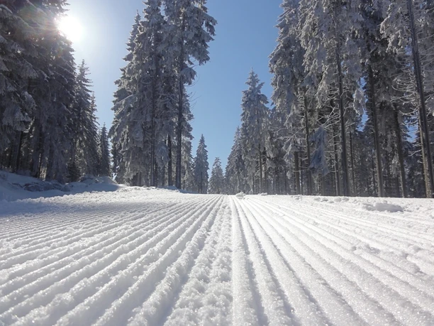 Die Loipen sind gespurt