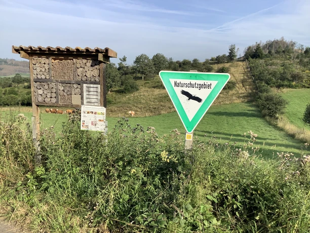 Insektenhotel im Naturschutzgebiet