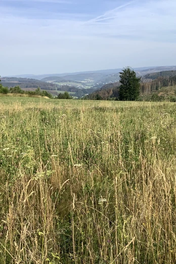 Blick bis nach Dotzlar
