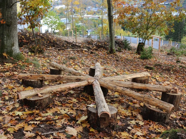 Holzerlebnis Parcours