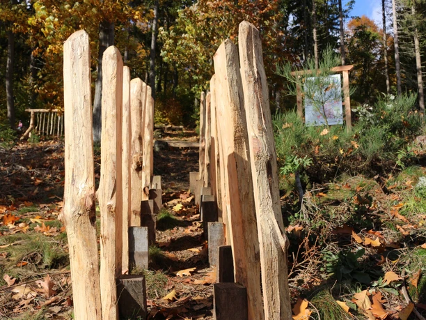 Holzerlebnis Parcours 7